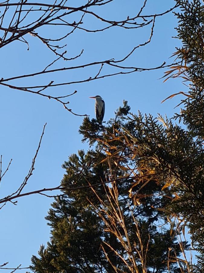 Eure Auszeit Lägenhet Vöhl Exteriör bild